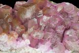 Cobaltoan Calcite Crystal Cluster - Bou Azzer, Morocco #133196-1